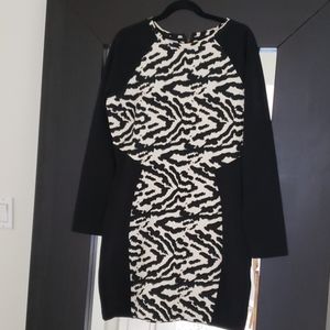 Bodycon Dress